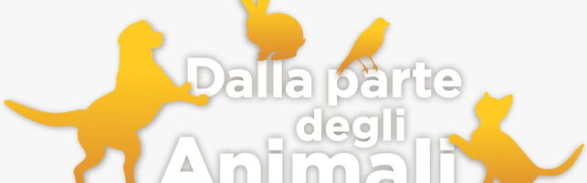 https://img-prod.tgcom24.mediaset.it/images/2026/09/12/093734157-5d9c6f2b-6e33-46b3-961c-edaf8c170e89.jpeg
