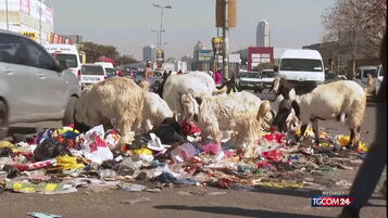 Anteprima: Emergenza rifiuti a Johannesburg, centinaia di discariche abusive
