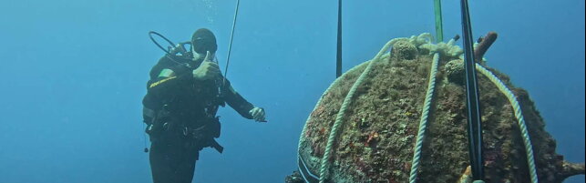 Copertina: La Spezia, mina e siluro della Seconda guerra mondiale trovati in mare e fatti brillare