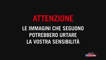 Copertina: Prof accoltellata a Roma, il video dell'aggressione: la preparazione in bagno, poi l'azione