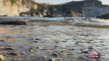 https://img-prod.tgcom24.mediaset.it/images/2026/09/22/171338707-b3e2f4c3-c3cd-4f6a-a8d2-96ae427cf0ac.jpg