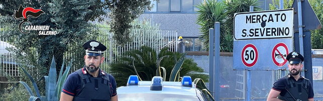 Anteprima: Donna di 85 anni soffocata nel sonno nel Salernitano: fermato il figlio