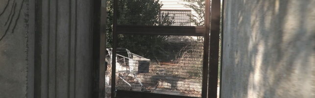 Roma, tentano di occupare un altro stabile dopo lo sgombero: tre arresti a Tor Cervara
