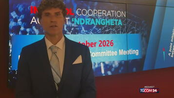Anteprima: 'Ndrangheta, Pioletti (Primo dirigente polizia di Stato): "Con il Progetto I-CAN 181 arre…
