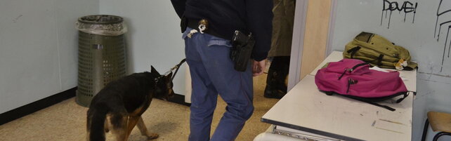 Anteprima: Treviso, dramma a scuola: 13enne si getta dalla finestra e rischia la paralisi | Sarebbe…