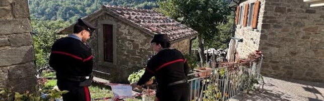 Anteprima: Arezzo, morto dissanguato dopo coltellata alla gamba: arrestata la moglie