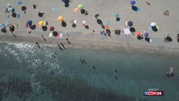 https://img-prod.tgcom24.mediaset.it/images/2026/10/11/112927004-d96657ec-ff38-4fec-9522-3afd4bdf9f77.jpg