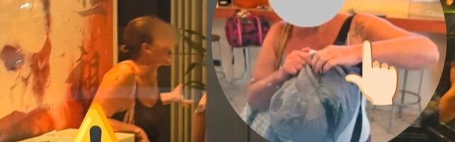 La "scroccona seriale" del Nord è tornata: altre due denunce | Ristoratori e albergatori espongono la sua foto