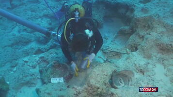 Scoperto al largo della Turchia il relitto più antico del mondo