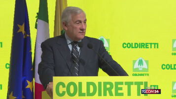 https://img-prod.tgcom24.mediaset.it/images/2026/10/21/142230912-48844a9f-c0d0-48be-a9b9-fe95f1e72015.jpg